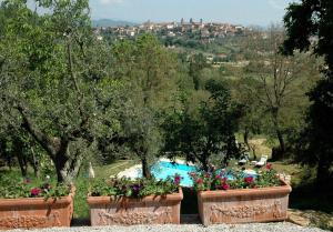 a resort with a swimming pool and some flowers at Villa Ceppeto in Monte San Savino