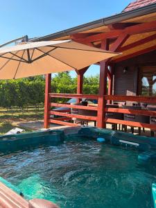 a large plunge pool with an umbrella in front of a house at Vikendica Vinogradski Mir, Jacuzzi and Vineyard View in Bačinci