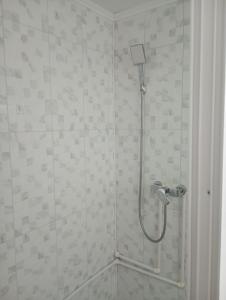 a shower with a shower head in a bathroom at Rustic House in Costeşti