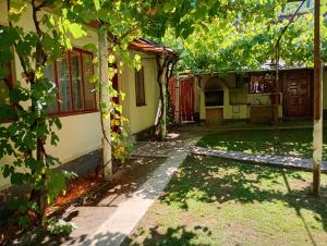 a house with a tree in the yard at Rustic House in Costeşti +3 photos