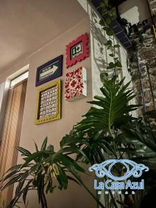 a plant in a room with signs on a wall at La Casa Azul Hostal in Morelia