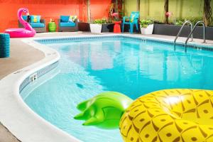 a pool at a hotel with a toy turtle in the water at Staypineapple, University Inn, University District Seattle in Seattle