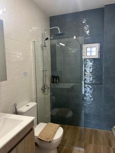 a bathroom with a shower and a toilet and a sink at Anna Coast Apartment in Agia Anna