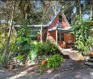 a small wooden house in the middle of trees at Alba the Scots Cottage walk every where in Maleny