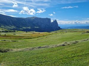 a field of grass with a mountain in the background at Residence Hofer in Bressanone