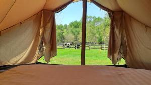 a bed in a tent with a horse in the field at Logement insolite tente glamping in Parigné-lʼÉvêque