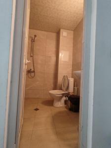 a bathroom with a toilet and a shower at Tangra Guest House in Arapya
