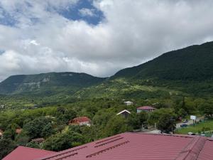a view of a valley with mountains in the background at La Montagna in Bangveti