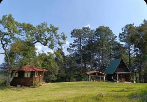 a cabin and a house on a grassy hill at Sp Atmatla Zacatlan Cabins in Zacatlán