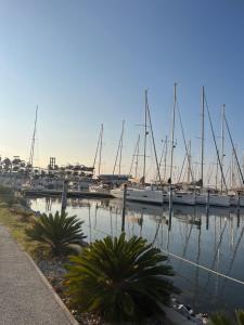 a group of boats docked in a marina at Sunset boat in Leucate-Plage