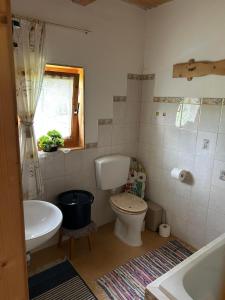 a small bathroom with a toilet and a sink at Jakobihütte in Sankt Margarethen bei Knittelfeld