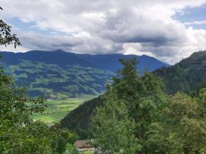 a view of a valley with trees and mountains at Zimmerhäusl in Schlitters +2 photos