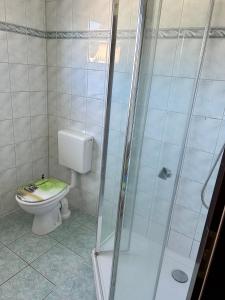 a bathroom with a toilet and a glass shower at Ferienwohnungen am Wald in Lütow +5 photos