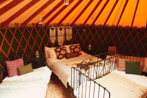 a room with a bed in a tent at Yurtcamp Devon in Heathfield +21 photos