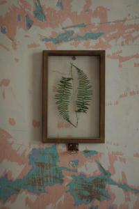 a picture of a plant on a wall at Lê Gia Homestay 2 in Hue