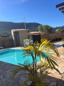 a palm tree in front of a swimming pool at Chácara sonho meu in Jacutinga