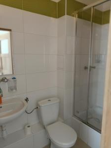 a bathroom with a toilet and a shower and a sink at Hostel Wólka Kosowska z prywatnymi łazienkami in Wólka Kosowska