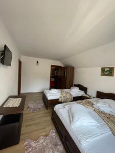 a hotel room with two beds and a television at Casa Mona in Arieşeni +22 photos