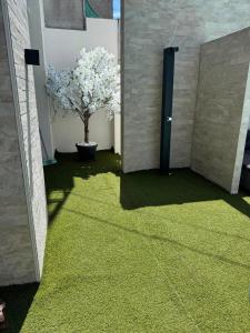 a room with a green carpet and a tree at Apartments Lana in Mostar