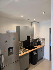 a kitchen with a refrigerator and a sink at small and cozy in Perpignan