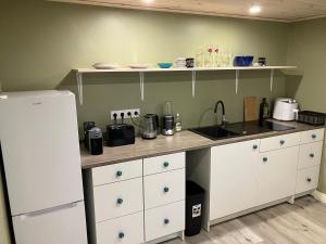 a kitchen with a counter with a sink and a refrigerator at Arkaadia in Viljandi