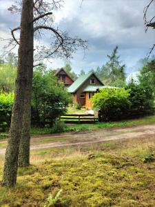 a house with a tree and a dirt road at Zielony domek na Kaszubach in Raduń