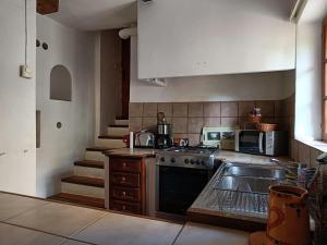 a kitchen with a stove and a sink in it at Le gîte panda saint-maymes in Trigance