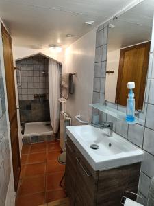 a bathroom with a sink and a shower at Le gîte panda saint-maymes in Trigance +21 photos