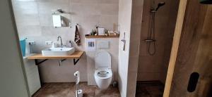 a bathroom with a toilet and a sink at Kamer op de wierde Rottum in Rottum