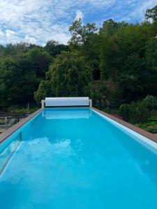 a swimming pool with blue water and trees in the background at Berberys Park Hotel in Kazimierz Dolny
