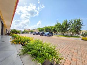 a parking lot with a bunch of cars and flowers at B&B Machiavelli in Gallipoli