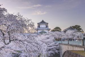 a building with a tower in the background withakura trees at House Hotel Kenrokuzaka in Kanazawa
