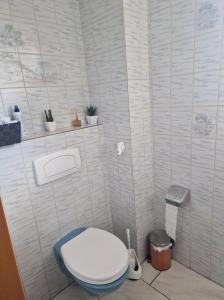 a bathroom with a toilet in a white tiled wall at Schönes Doppelzimmer in Allmannshofen