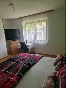 a bedroom with a bed with a television and a table at Schönes Doppelzimmer in Allmannshofen