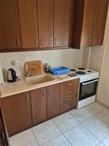 a kitchen with a sink and a stove at Villa Aggelos in Skala Sotiros +11 photos