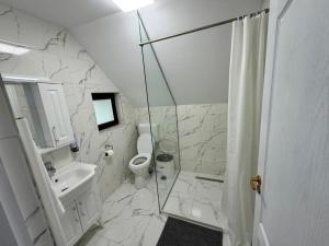 a bathroom with a toilet and a sink and a shower at Casa cu Dor in Odăile +55 photos