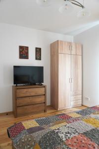 a bedroom with a flat screen tv and a wooden cabinet at Moderne Sauerhof Apartments in Baden