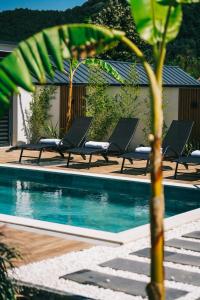 a pool with four lounge chairs and a palm tree at Rua Sapanca in Sapanca