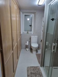 a bathroom with a toilet and a window at pas de nom in Rosenwiller