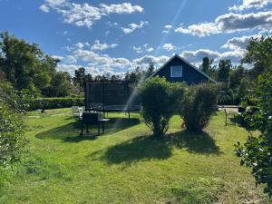 a house in a yard with two bushes in the grass at Villa lugn och ro in Gustavsberg +5 photos