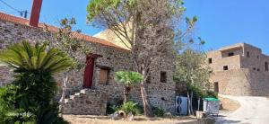 a stone building with a palm tree in front of it at Thetis Stone Residence in Volissos