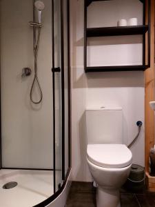 a bathroom with a toilet and a shower at Apartament WERANDA in Paplin