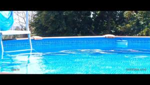 a blue swimming pool with a chair in it at FINCA El LABRAO DE ALARDOS in Candeleda