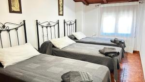 a bedroom with two twin beds and a window at Apartamento Tres in Guadalaviar