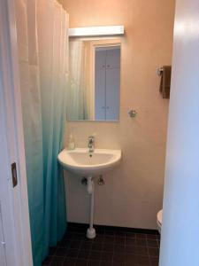 a bathroom with a sink and a mirror at B&B Carl XII in Ed +32 photos