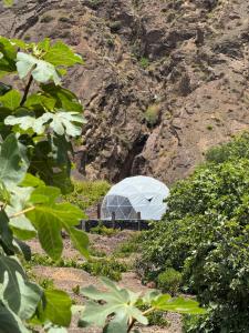 a white greenhouse in front of a mountain at Sodade Eco Camp in Portela