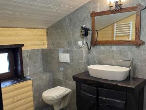a bathroom with a sink and a toilet and a mirror at Chalet Poligon in Vatra Dornei