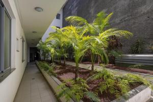 a hallway with palm trees in a building at THE SPOT- holiday concept in Santa Cruz