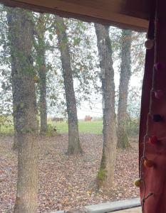 a window with a view of a forest of trees at Tiny housse in Conne-de-Labarde
