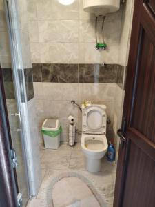 a small bathroom with a toilet in a stall at Avdic Guest House in Makljenovac +24 photos